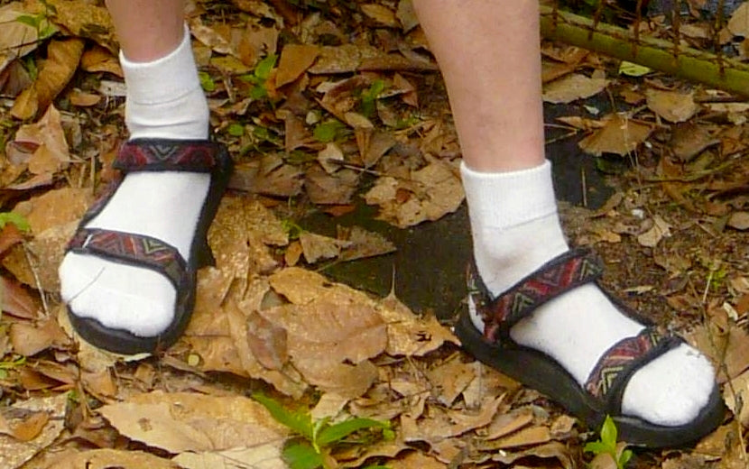 white socks with dark sandals 