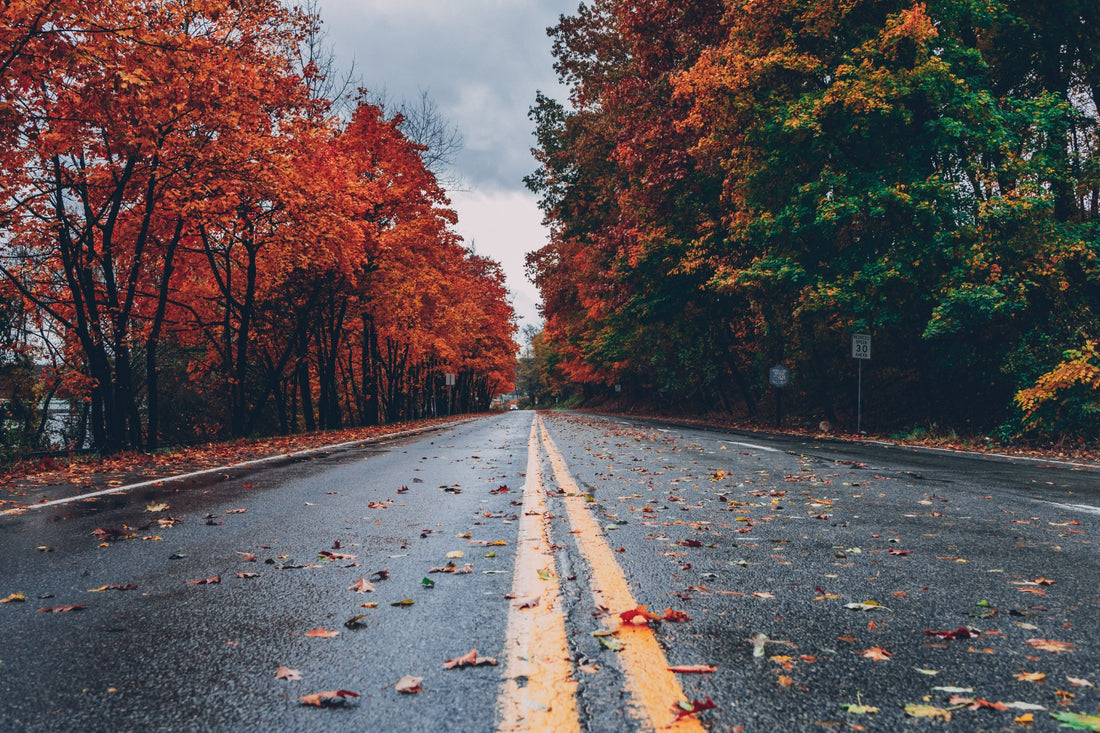 Fall Cycling Tips
