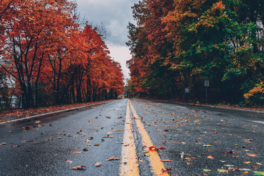 Fall Cycling Tips
