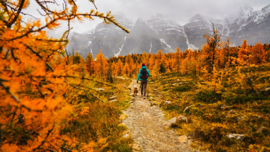 How to Choose the Best Hiking Socks