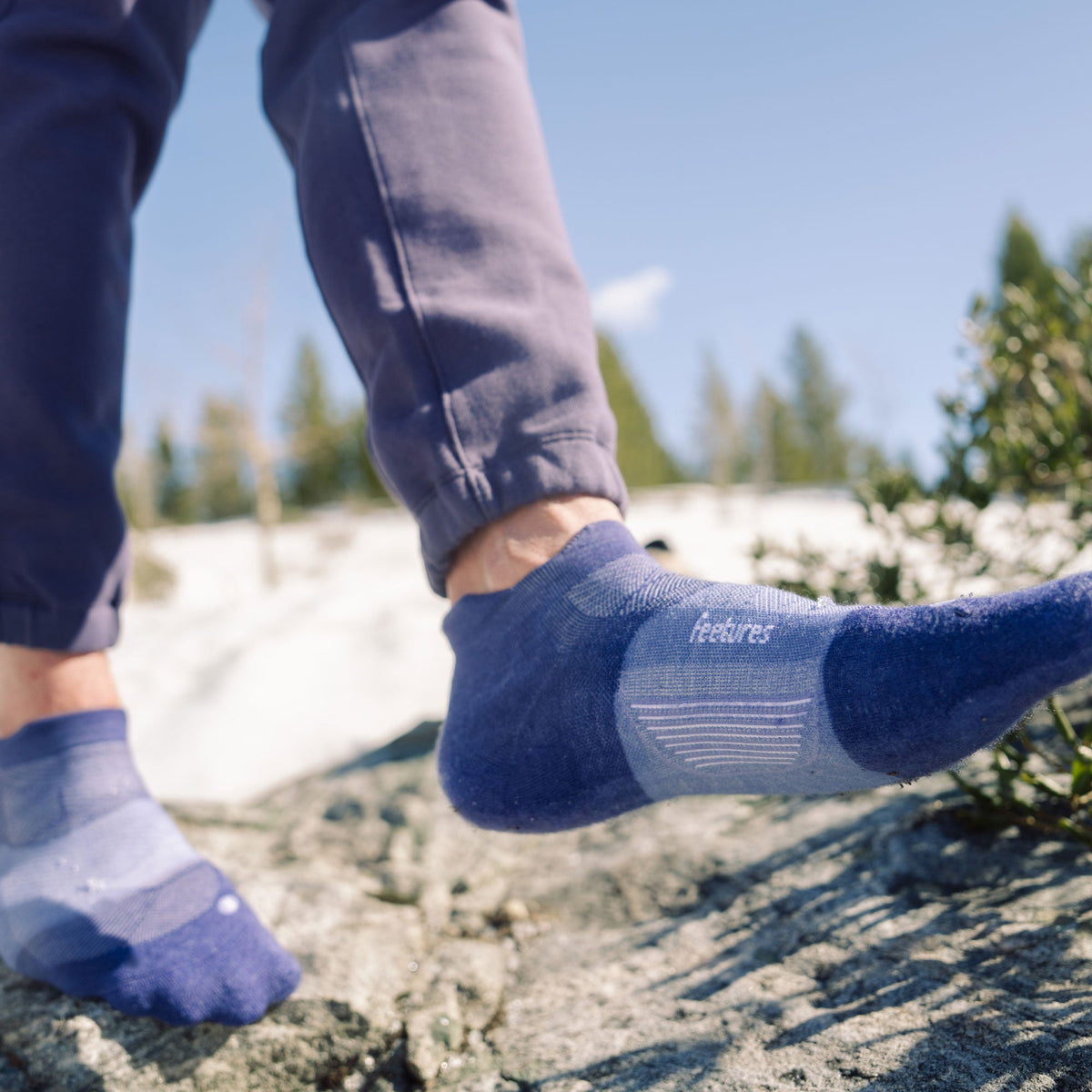 Merino 10 Max Cushion Tab - Aster Bloom