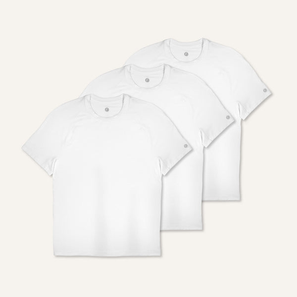 Men's Stride Flex Performance Tee 3 Pack - 